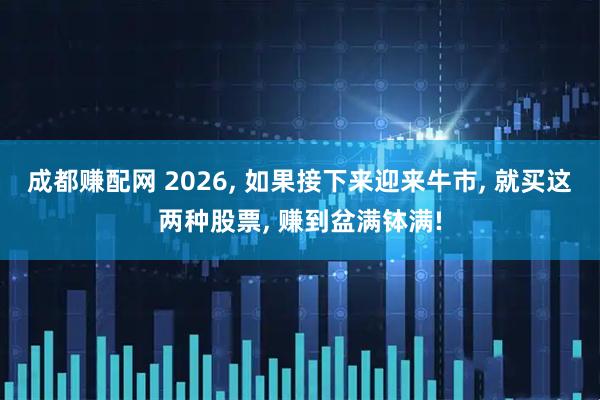 成都赚配网 2026, 如果接下来迎来牛市, 就买这两种股票, 赚到盆满钵满!