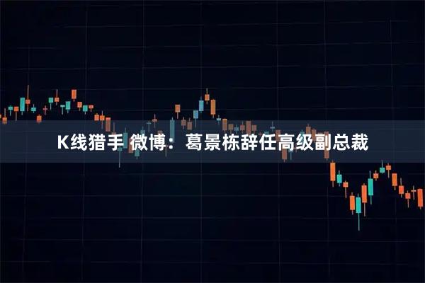 K线猎手 微博：葛景栋辞任高级副总裁