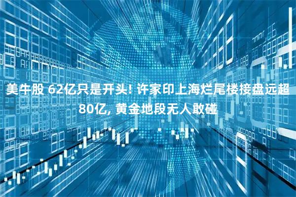 美牛股 62亿只是开头! 许家印上海烂尾楼接盘远超80亿, 黄金地段无人敢碰
