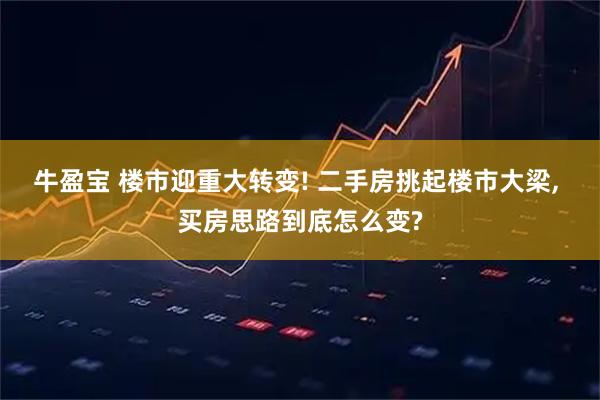 牛盈宝 楼市迎重大转变! 二手房挑起楼市大梁, 买房思路到底怎么变?