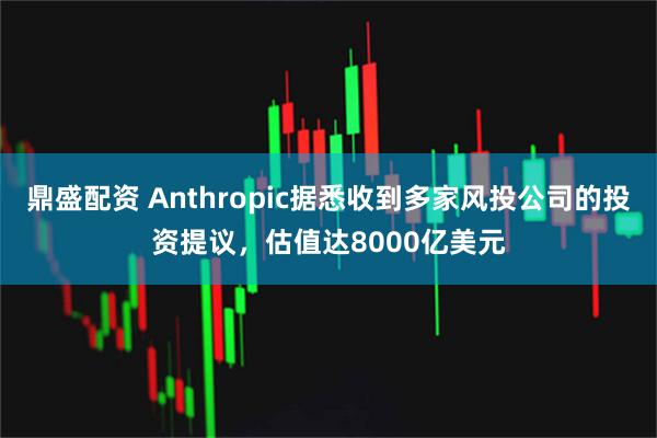 鼎盛配资 Anthropic据悉收到多家风投公司的投资提议，估值达8000亿美元