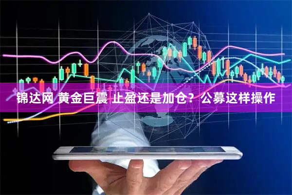 锦达网 黄金巨震 止盈还是加仓？公募这样操作