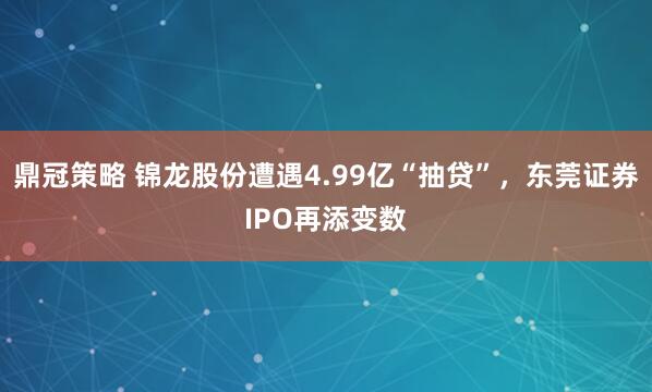鼎冠策略 锦龙股份遭遇4.99亿“抽贷”，东莞证券IPO再添变数