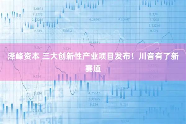 泽峰资本 三大创新性产业项目发布！川音有了新赛道